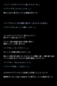 士官学校の女神たち, 日本語