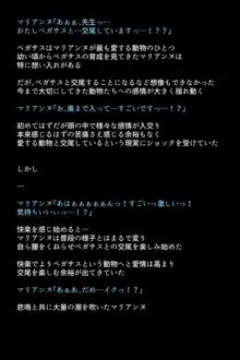 士官学校の女神たち, 日本語