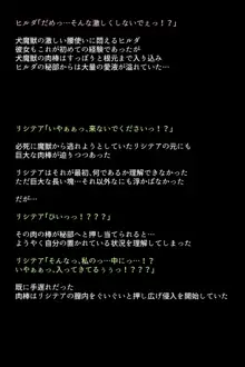 士官学校の女神たち, 日本語