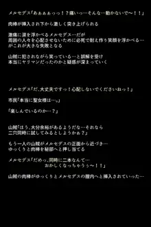 士官学校の女神たち, 日本語