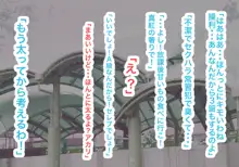 異能学園の強気美少女は学園最下層“人形師“の傀儡として生まれ変わる, 日本語