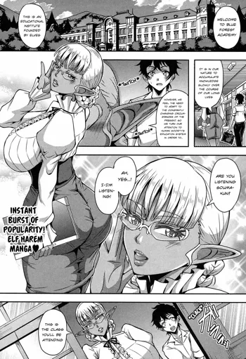 Elf Harem Academia, English