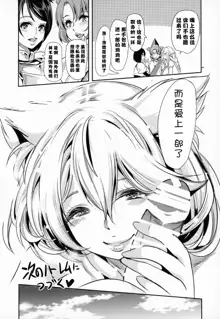 Boku no Isekai Harem Neko Neko Dai Harem 8P Hen, 中文