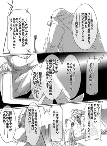 魔法少女VS脅迫爆弾魔, 日本語