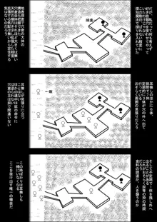 まだ題名のないファンタジー 地味なエルフと見習いの戦士III, 日本語