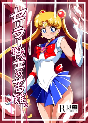 Sailor Senshi no Kunan, 中文