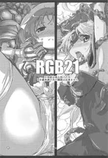 RGB21, 日本語