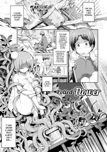 Hachi no Ue no Flower | Potted Flower, English