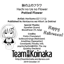 Hachi no Ue no Flower | Potted Flower, English