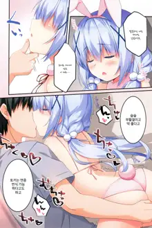 Chino-chan to Usagi Gokko, 한국어