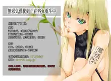 Tottemo H na Succubus Onee-chan to Onsen de Shippori Sex, 中文