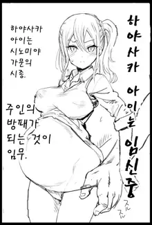 Hayasaka Ai wa Ninshinchuu | 하야사카 아이는 임신중, 한국어