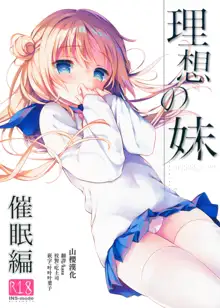 Risou no Imouto Saimin Hen, 中文