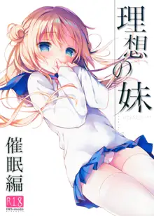 Risou no Imouto Saimin Hen, 中文