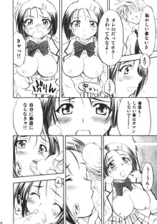 とらぶるっ娘, 日本語