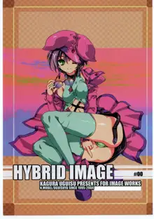 HYBRID IMAGE, 日本語