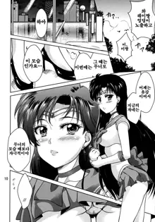 Hiiro no Akari, 한국어