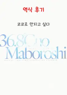 36.8°C no Maboroshi | 36.8°C의 환상, 한국어