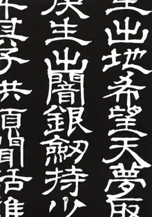 激芝村的, 日本語