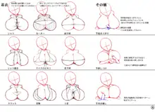 パイズリパターン・構図集, 日本語