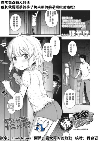 Imouto no Seiyoku ga Tsuyosugiru, 中文