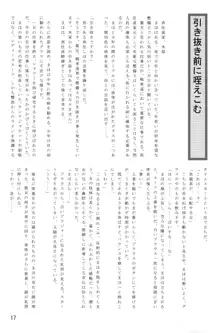 LeLeぱっぱ Vol.35 完熟桃, 日本語