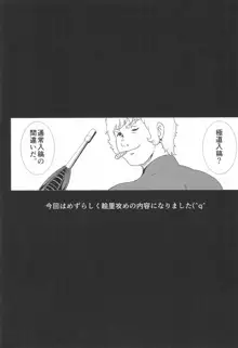 サイコガンは心で撃つのよ!!, 日本語