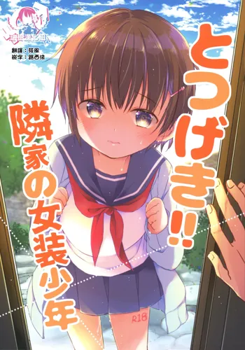 Totsugeki! Rinka no Josou Shounen, 中文