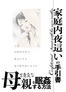 Namaiki na Hahaoya o Honnin ni mo Kizukarezu ni Minkan Suru Houhou | 家庭內夜襲的入門書、對傲慢的母親睡眠強姦的方法, 中文