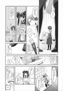 制服楽園 17, 日本語