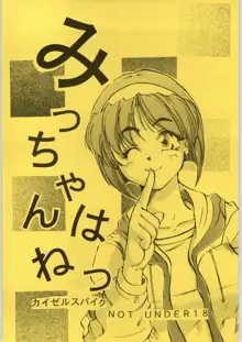 みっちゃんはねつ, 日本語