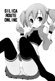 Silica Route Online, English