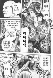 The Violated Knoichi, 한국어