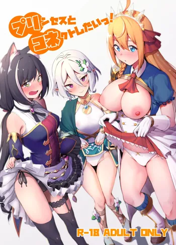 Princess to Connect Shitai!, English