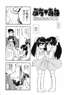 密色の舞姫, 日本語