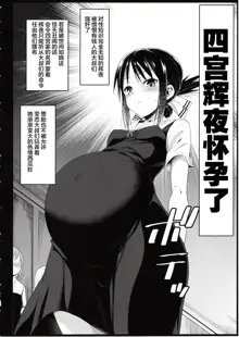 Shinomiya Kaguya o Goukan Shitai 2, 中文