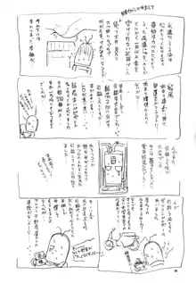 うぃずひな, 日本語