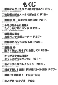 特殊シチュ短編総集編 東方シコるッ! 2, 日本語