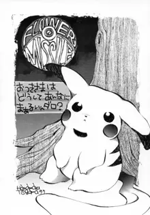 POKEMON JUNKY, 日本語