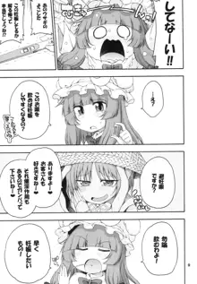 東方迷込 ～パチュリー編～, 日本語