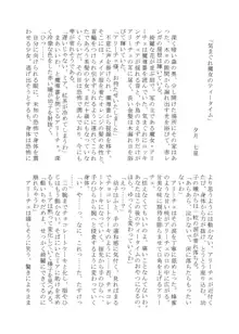 変化系簿-TF Account book- Vol.2, 日本語