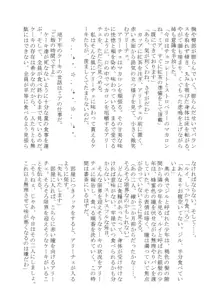 変化系簿-TF Account book- Vol.2, 日本語