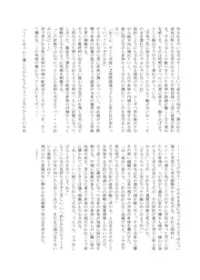 変化系簿-TF Account book- Vol.2, 日本語