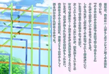 男の子が可愛い女の子になるための十の羞恥命令, 日本語