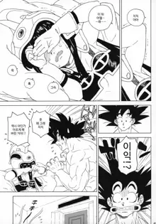 GOKU CHICHI!!! ver. 2 | 공치치!!! ver. 2, 한국어