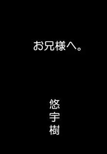 桃色窃盗団 Vol.5, 日本語