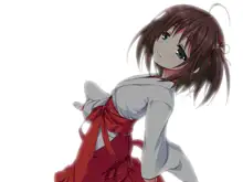 Miko Rakka Sono San Sakura Hen, 中文