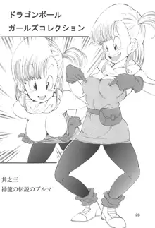 Dragon Ball Girls Collection 1 Fukkokuban, 中文