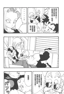 Dragon Ball Girls Collection 1 Fukkokuban, 中文