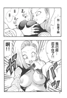 Dragon Ball Girls Collection 1 Fukkokuban, 中文